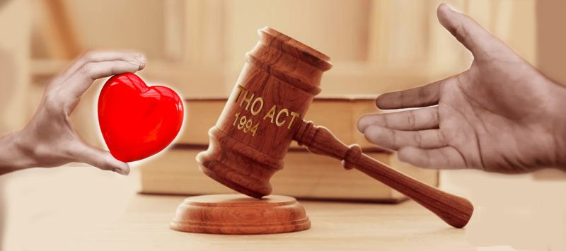 Organ Donation Laws: Legal Process and Consent Rules legal guide