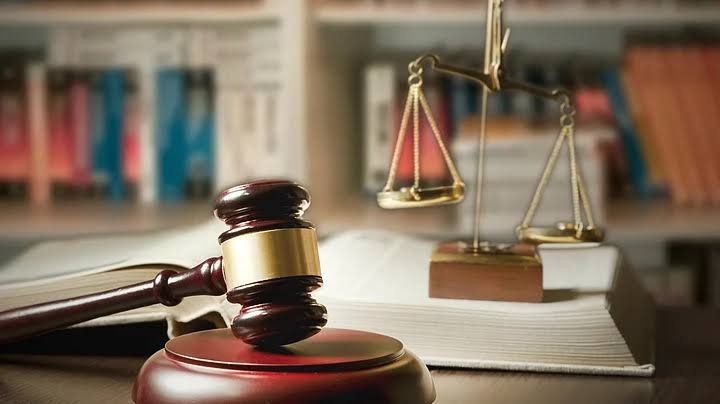 Judicial Review: How Courts Check Government Power legal resource